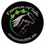 Essence of Life